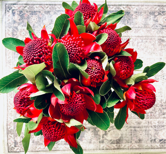 Local Waratah Bunch